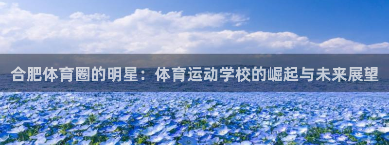 vsport体育官网下载招商电话是多少:合肥体育圈的明星:体