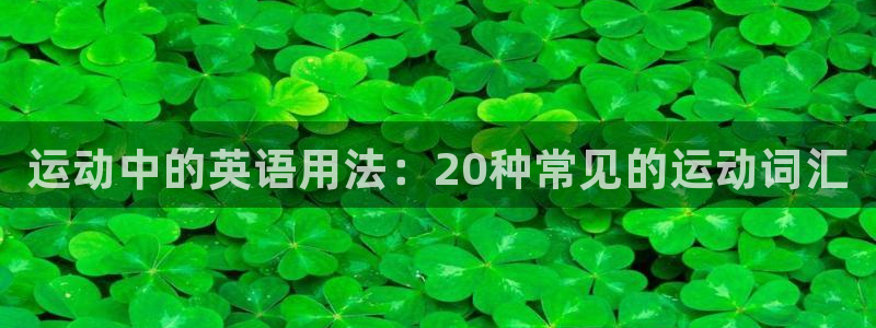 vsport体育官方正版app集团logo:运动中的英语用法