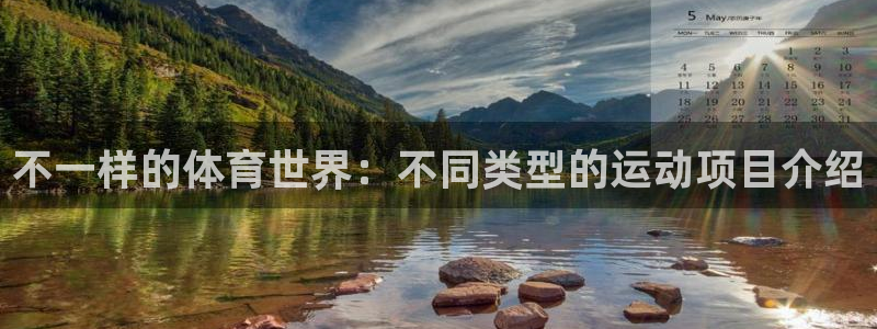 vsport体育官方正版app代理:不一样的体育世界:不同类