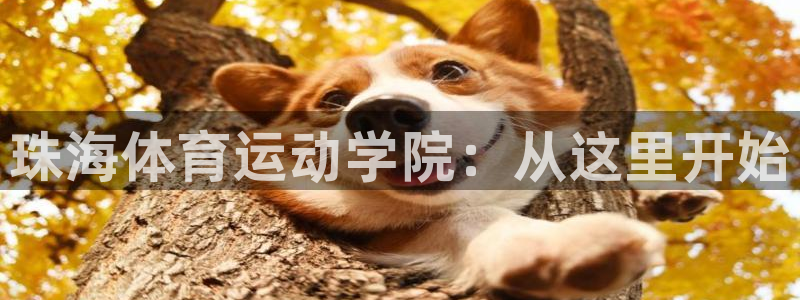 vsport体育官方正版app科技:珠海体育运动学院:从这里